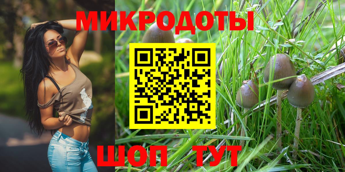 Алейск  продажа наркотиков  Вход с VPN  Галлюциногенные грибы Psilocybine cubensis  Галлюциногенные грибы Cubensis 